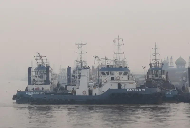 PATRIA 10 General Cargo IMO 9648594 photo 4