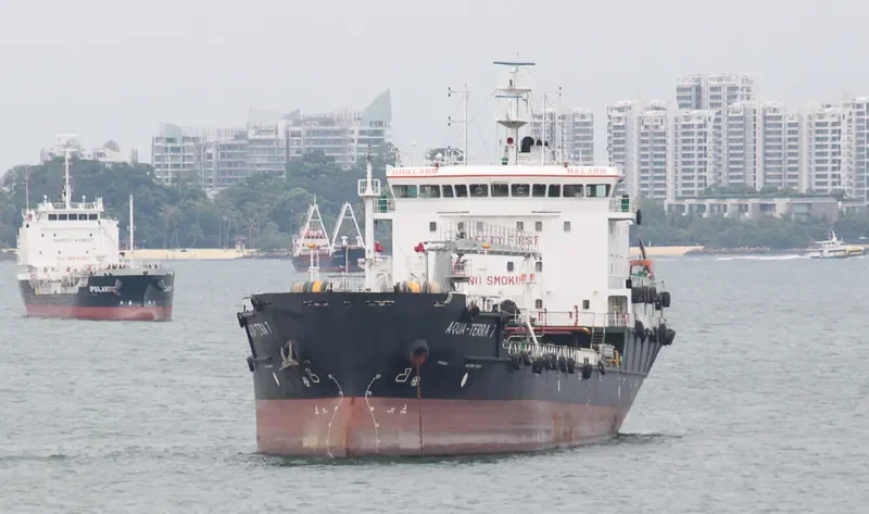 AQUA TERRA 7 General Cargo IMO 9648790 photo 4