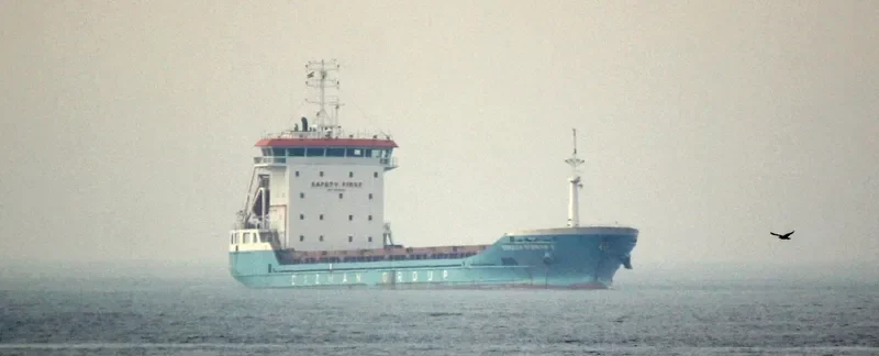 TEONA General Cargo IMO 9648843 photo 6