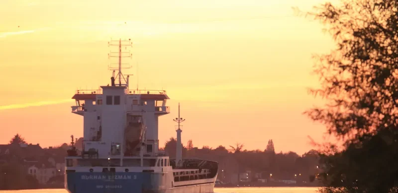TEONA General Cargo IMO 9648843 photo 7