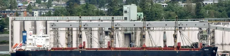 THETIS Bulk Carrier IMO 9648855 photo 10