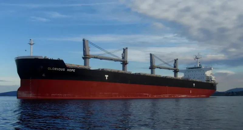 TELERI M Bulk Carrier IMO 9648867 photo 2