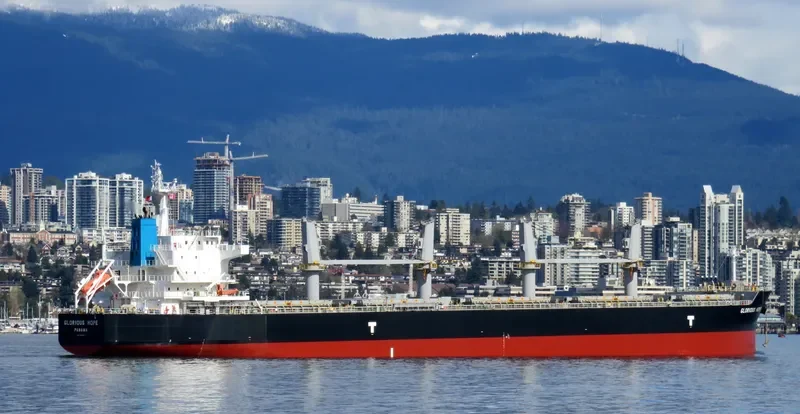 TELERI M Bulk Carrier IMO 9648867 photo 3