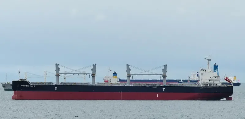 TELERI M Bulk Carrier IMO 9648867 photo 4