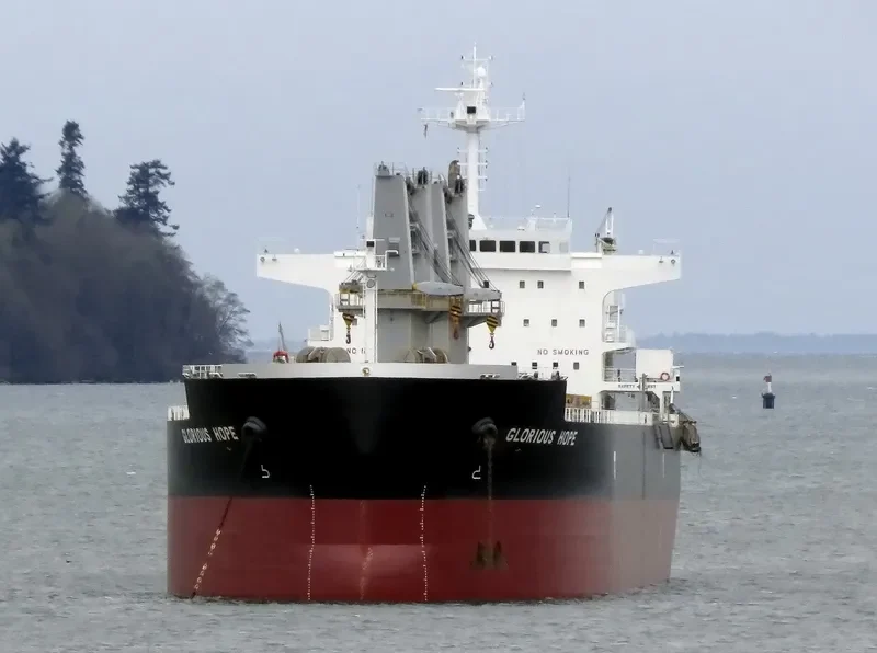 TELERI M Bulk Carrier IMO 9648867 photo 5