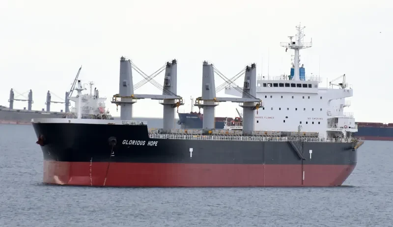 TELERI M Bulk Carrier IMO 9648867 photo 6