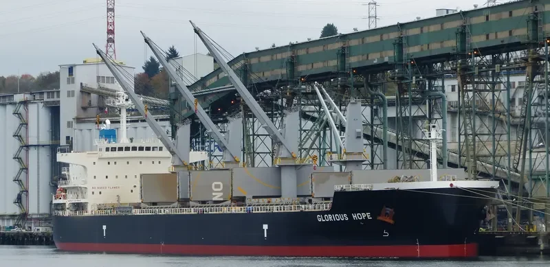 TELERI M Bulk Carrier IMO 9648867 photo 7
