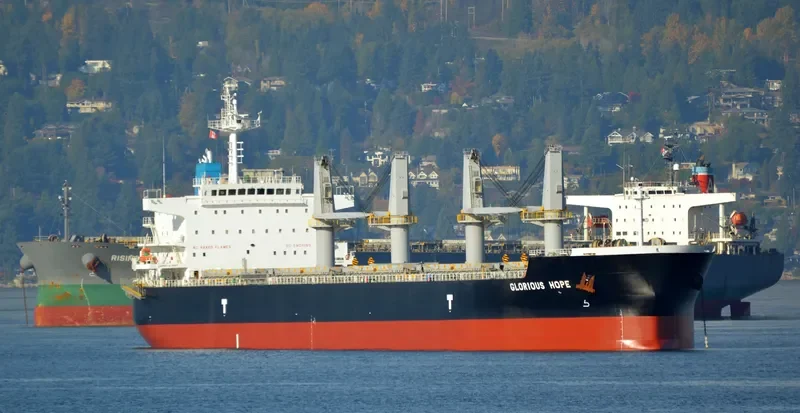 TELERI M Bulk Carrier IMO 9648867 photo 9