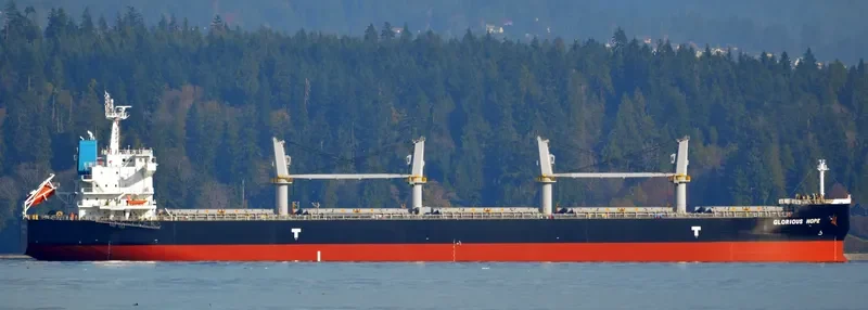 TELERI M Bulk Carrier IMO 9648867 photo 10
