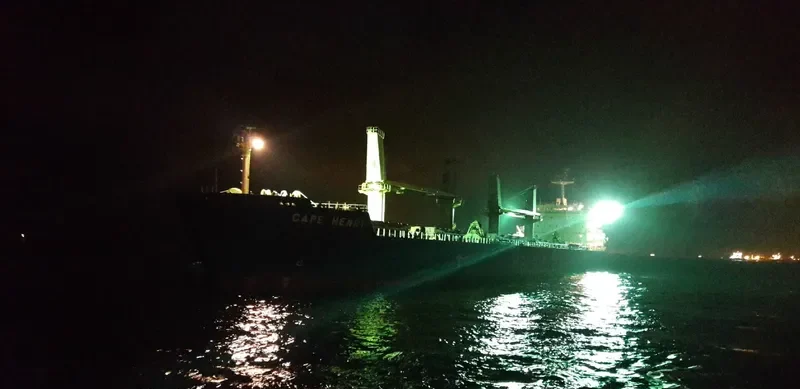 CAPE HENRY Bulk Carrier IMO 9648879