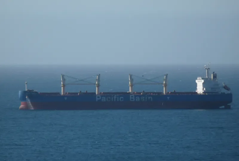 CAPE HENRY Bulk Carrier IMO 9648879 photo 3