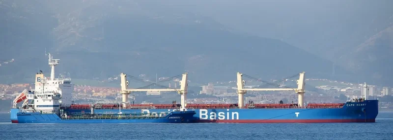 CAPE HENRY Bulk Carrier IMO 9648879 photo 8