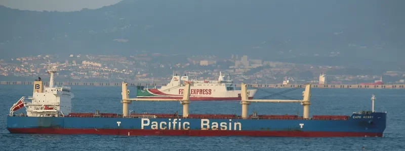 CAPE HENRY Bulk Carrier IMO 9648879 photo 9