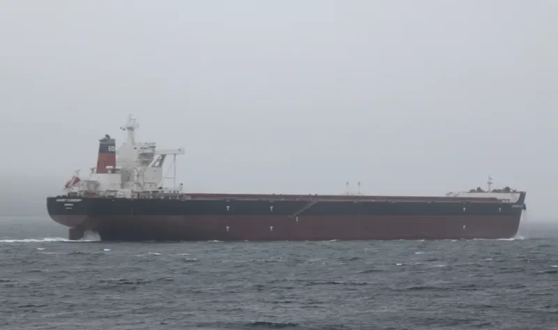 MARGRET OLDENDORFF Bulk Carrier IMO 9648908 photo 8