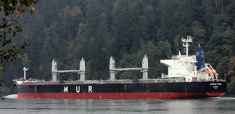 AFRICAN TERN Bulk Carrier IMO 9649031