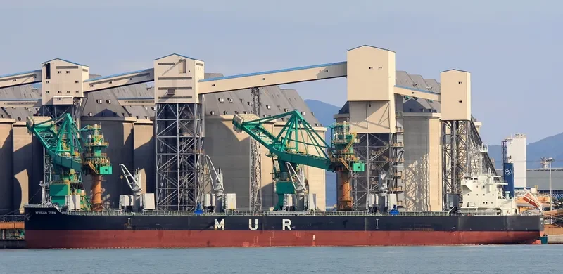 AFRICAN TERN Bulk Carrier IMO 9649031 photo 2