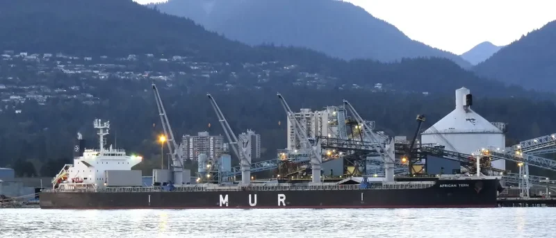 AFRICAN TERN Bulk Carrier IMO 9649031 photo 3