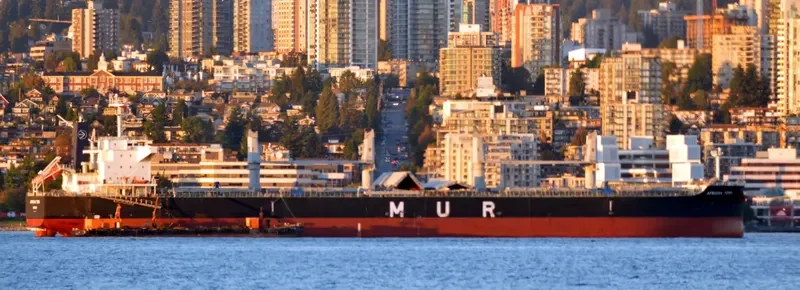 AFRICAN TERN Bulk Carrier IMO 9649031 photo 4