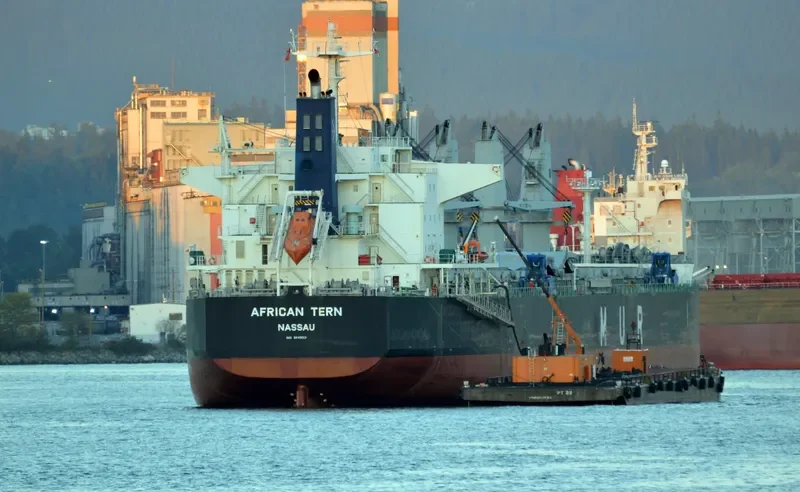 AFRICAN TERN Bulk Carrier IMO 9649031 photo 5