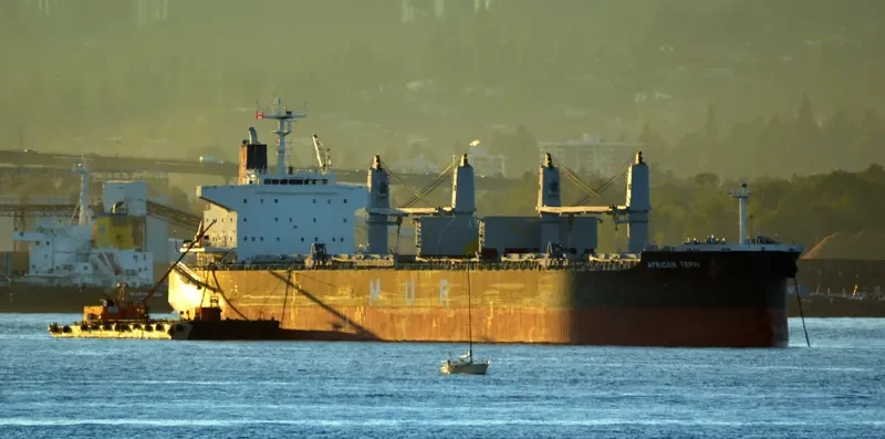 AFRICAN TERN Bulk Carrier IMO 9649031 photo 6