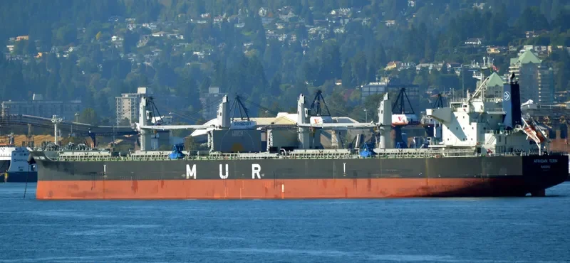 AFRICAN TERN Bulk Carrier IMO 9649031 photo 7