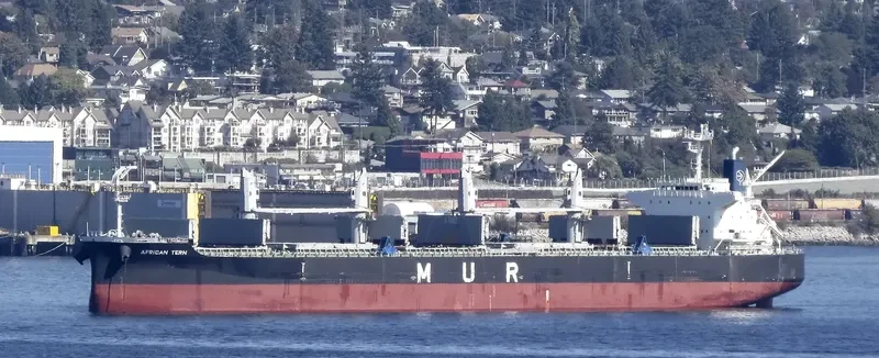 AFRICAN TERN Bulk Carrier IMO 9649031 photo 10
