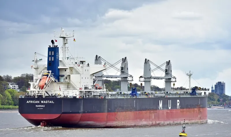 AFRICAN WAGTAIL Bulk Carrier IMO 9649043
