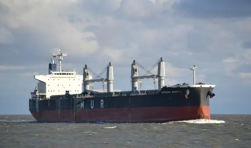 AFRICAN WAGTAIL Bulk Carrier IMO 9649043 photo 2