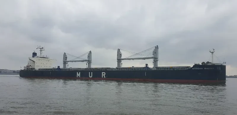 AFRICAN WAGTAIL Bulk Carrier IMO 9649043 photo 3