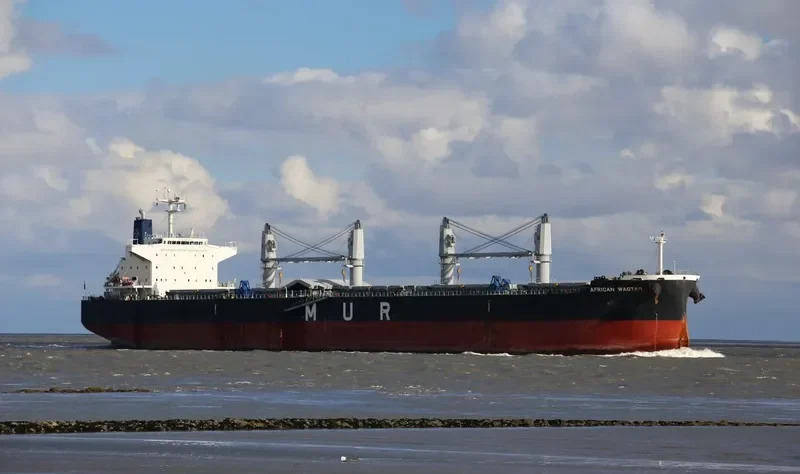 AFRICAN WAGTAIL Bulk Carrier IMO 9649043 photo 4