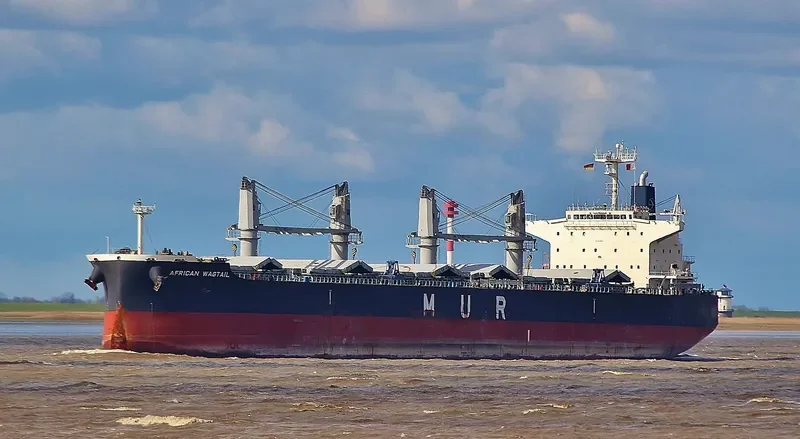 AFRICAN WAGTAIL Bulk Carrier IMO 9649043 photo 5