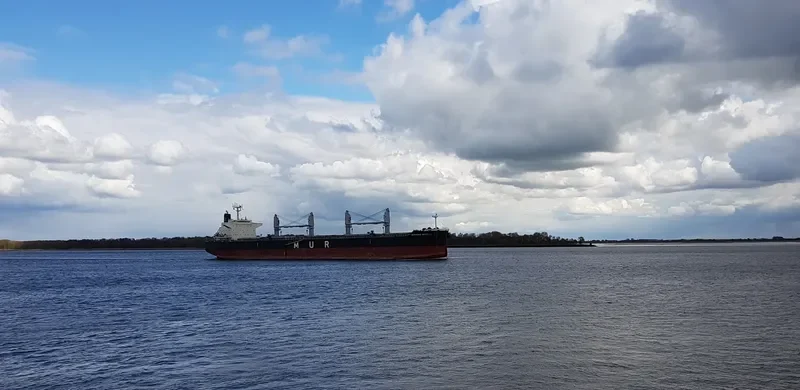 AFRICAN WAGTAIL Bulk Carrier IMO 9649043 photo 6