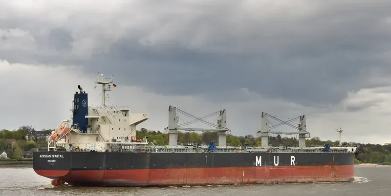 AFRICAN WAGTAIL Bulk Carrier IMO 9649043 photo 7