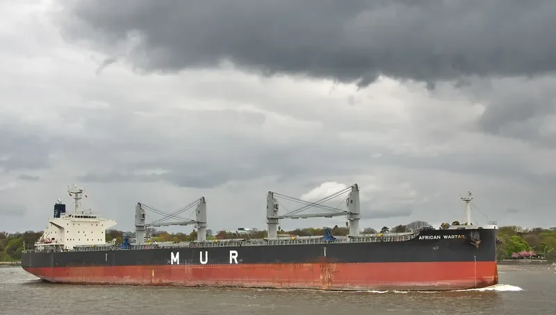 AFRICAN WAGTAIL Bulk Carrier IMO 9649043 photo 8