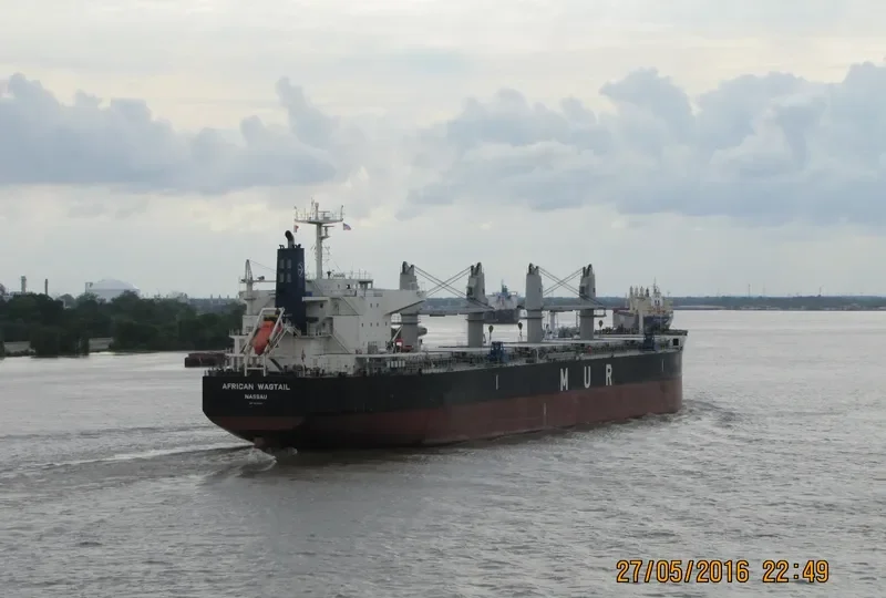 AFRICAN WAGTAIL Bulk Carrier IMO 9649043 photo 9