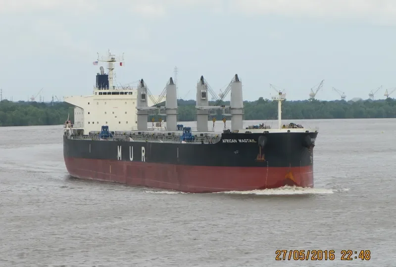 AFRICAN WAGTAIL Bulk Carrier IMO 9649043 photo 10