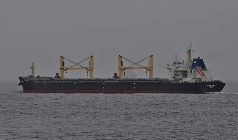 FAREAST HONESTY Bulk Carrier IMO 9649055 photo 3