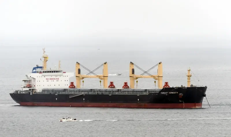 FAREAST HONESTY Bulk Carrier IMO 9649055 photo 6