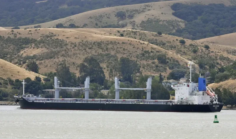 FAREAST HONESTY Bulk Carrier IMO 9649055 photo 7