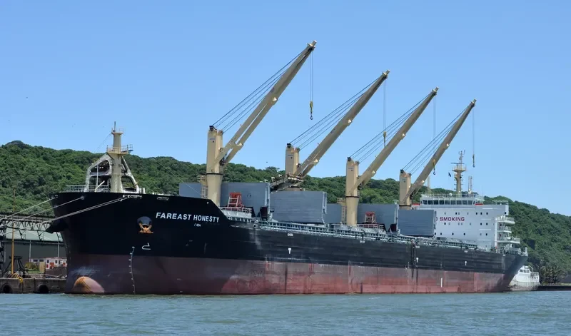 FAREAST HONESTY Bulk Carrier IMO 9649055 photo 10