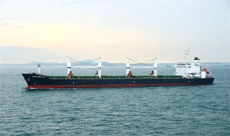 DENSA SEA LION Bulk Carrier IMO 9649079 photo 2
