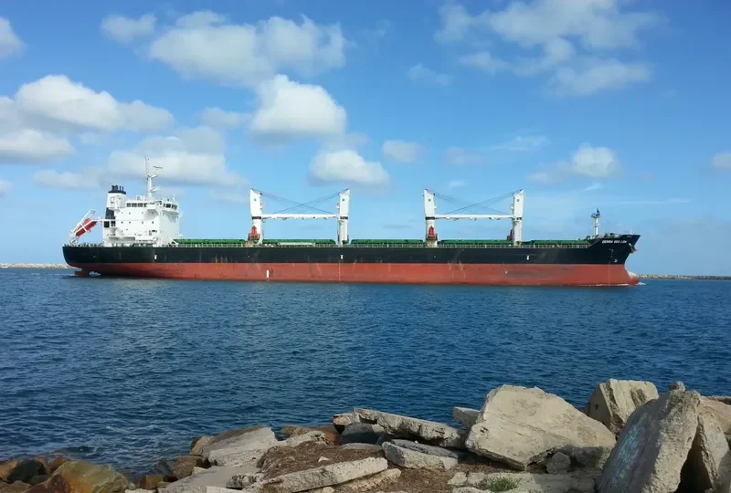 DENSA SEA LION Bulk Carrier IMO 9649079 photo 3
