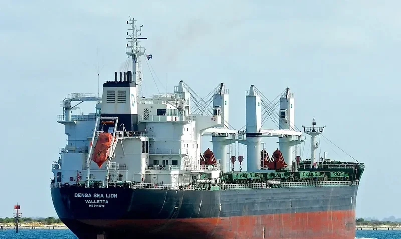 DENSA SEA LION Bulk Carrier IMO 9649079 photo 4