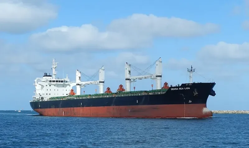 DENSA SEA LION Bulk Carrier IMO 9649079 photo 5