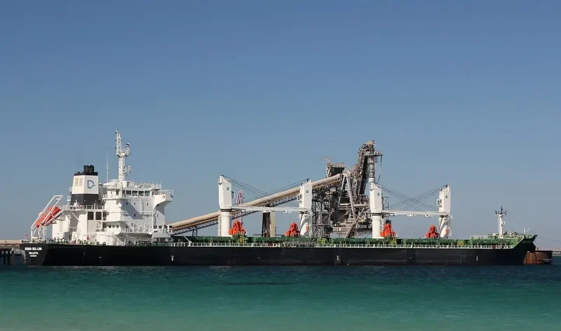 DENSA SEA LION Bulk Carrier IMO 9649079 photo 7