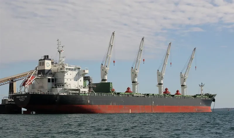 DENSA SEA LION Bulk Carrier IMO 9649079 photo 8