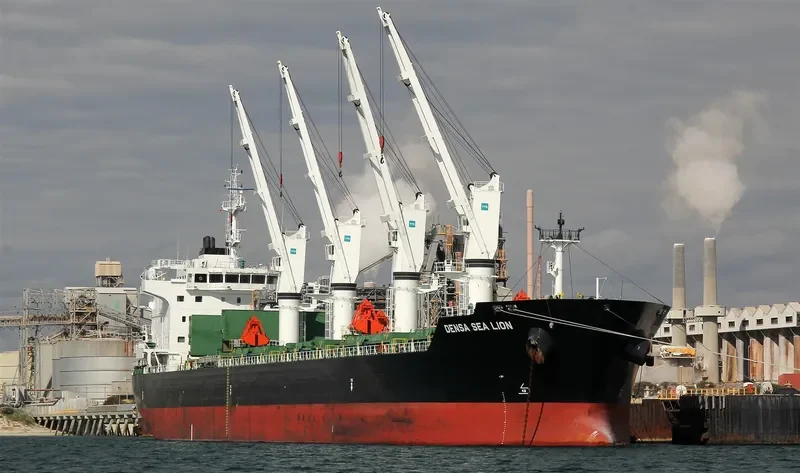 DENSA SEA LION Bulk Carrier IMO 9649079 photo 9