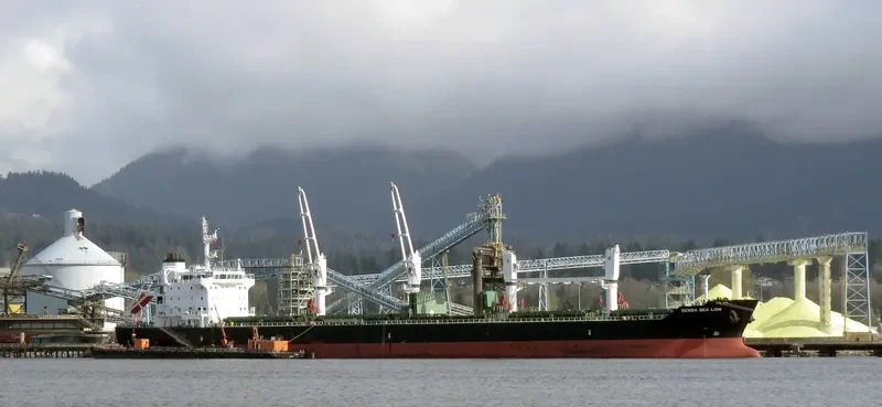 DENSA SEA LION Bulk Carrier IMO 9649079 photo 10