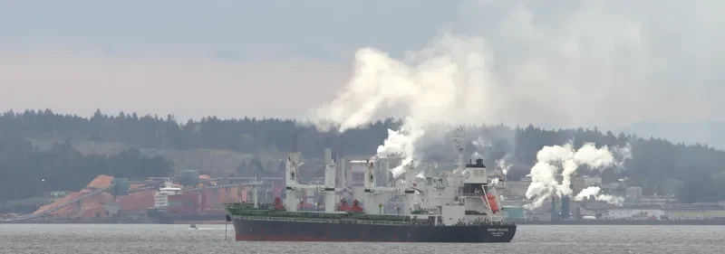 DENSA FALCON Bulk Carrier IMO 9649081