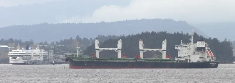DENSA FALCON Bulk Carrier IMO 9649081 photo 2